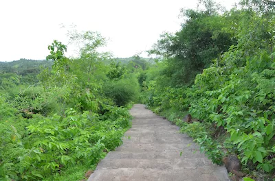 Devlima