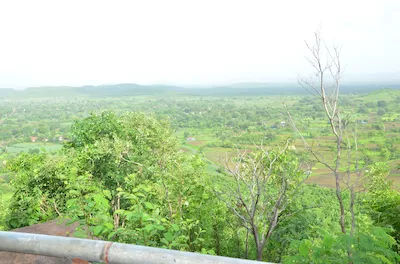 Devlima