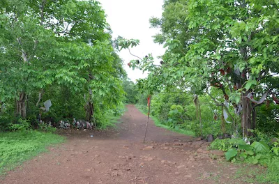Devlima