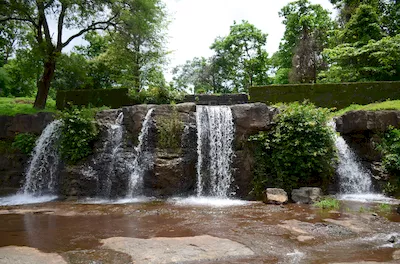 Mahal forest