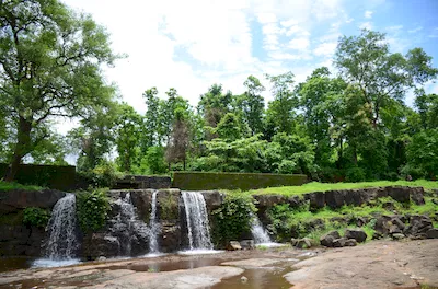 Mahal forest