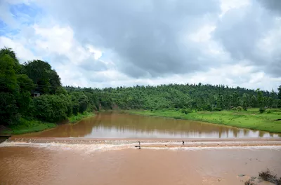 Mahal forest