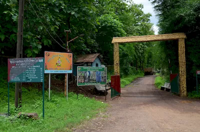 Mahal forest