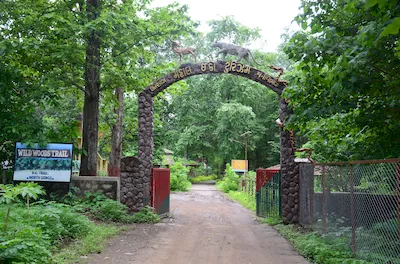 Mahal forest