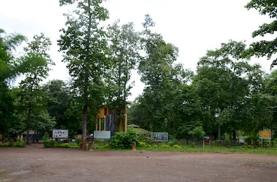 Mahal forest