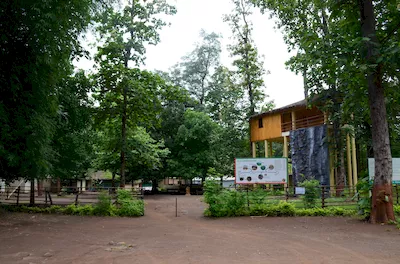 Mahal forest