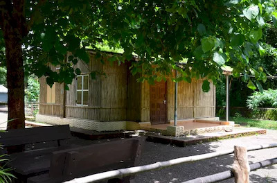 Mahal forest