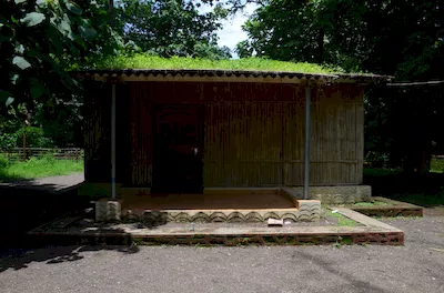 Mahal forest