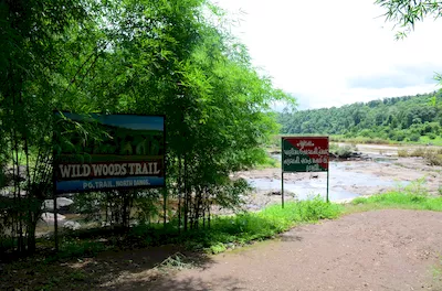 Mahal forest