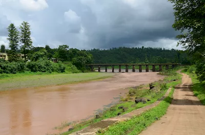 Mahal forest