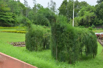 Parshuram temple