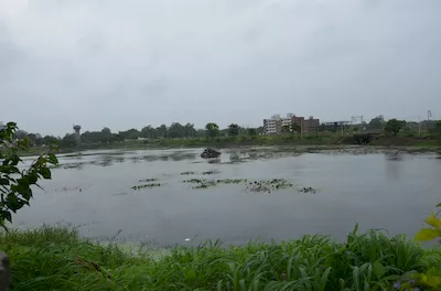 Vyara garden (Jalvatika)