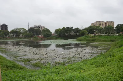 Vyara garden (Jalvatika)