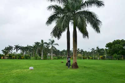 Vyara garden (Jalvatika)