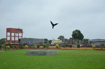 Vyara garden (Jalvatika)
